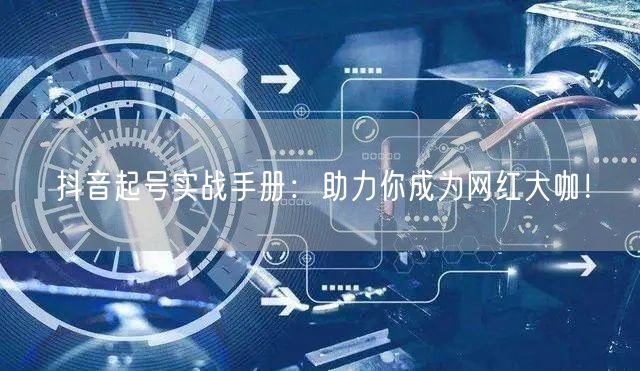 抖音起号实战手册：助力你成为网红大咖！