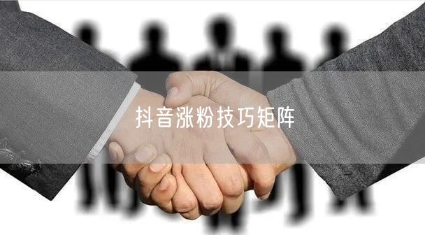 抖音涨粉技巧矩阵