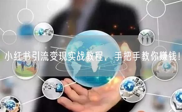 小红书引流变现实战教程，手把手教你赚钱！