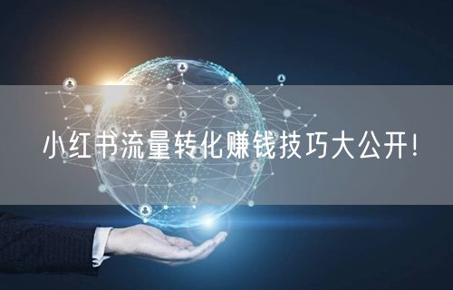 小红书流量转化赚钱技巧大公开！